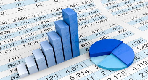 数据分析岗位与编程语言 信息技术咨询服务中的必备技能探析