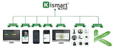 2018年上海市健身俱乐部数据报告 信息技术驱动行业变革与未来展望