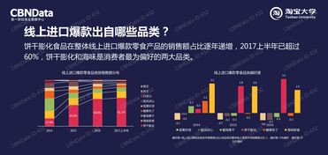 洞悉数字中国 199IT互联网数据资讯中心的崛起与价值