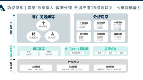 某头部合资车集团 客户之声数据洞察及聚类派单项目